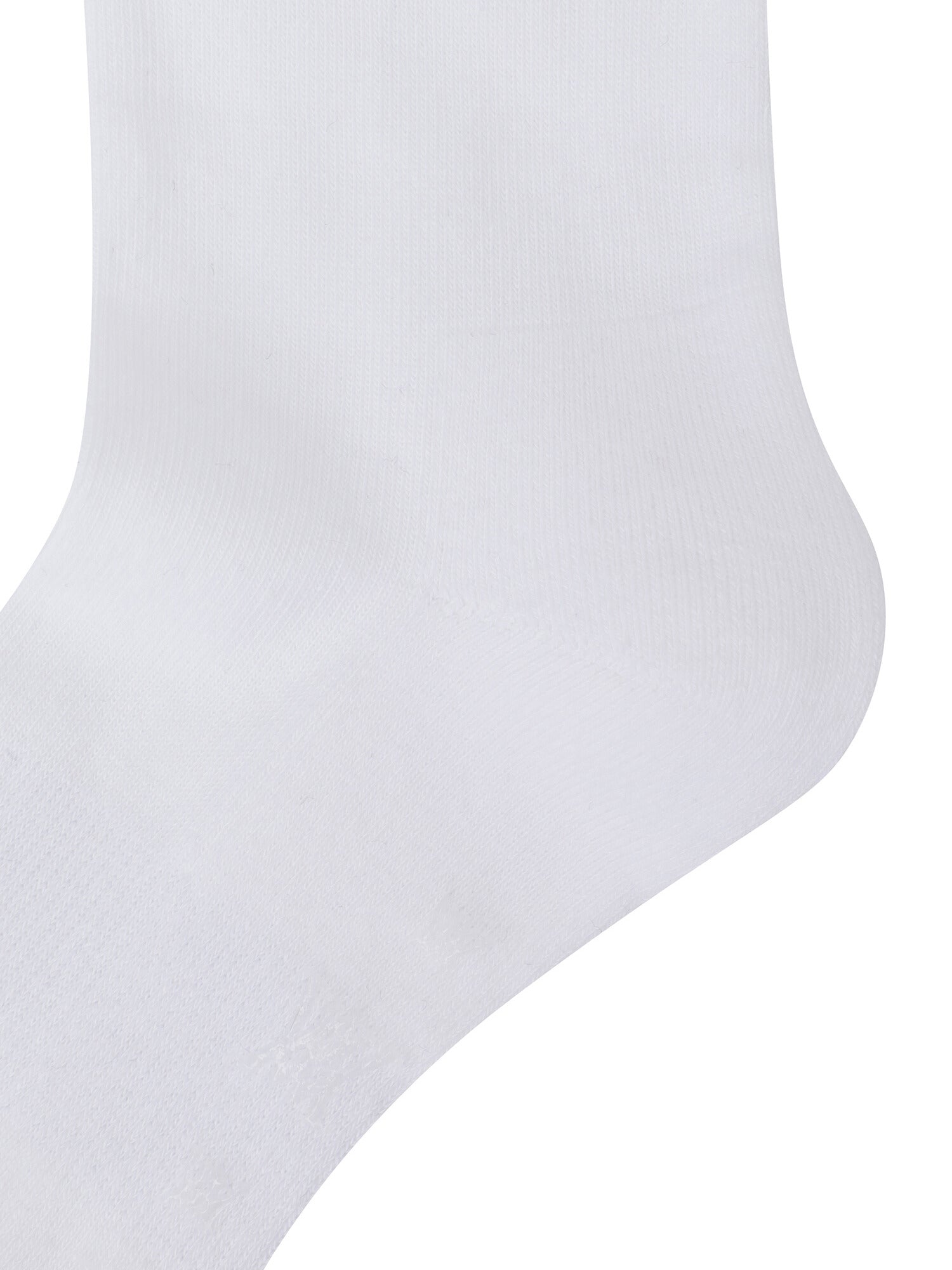 WOMEN LOGO POINT OVER THE KNEE SOCKS