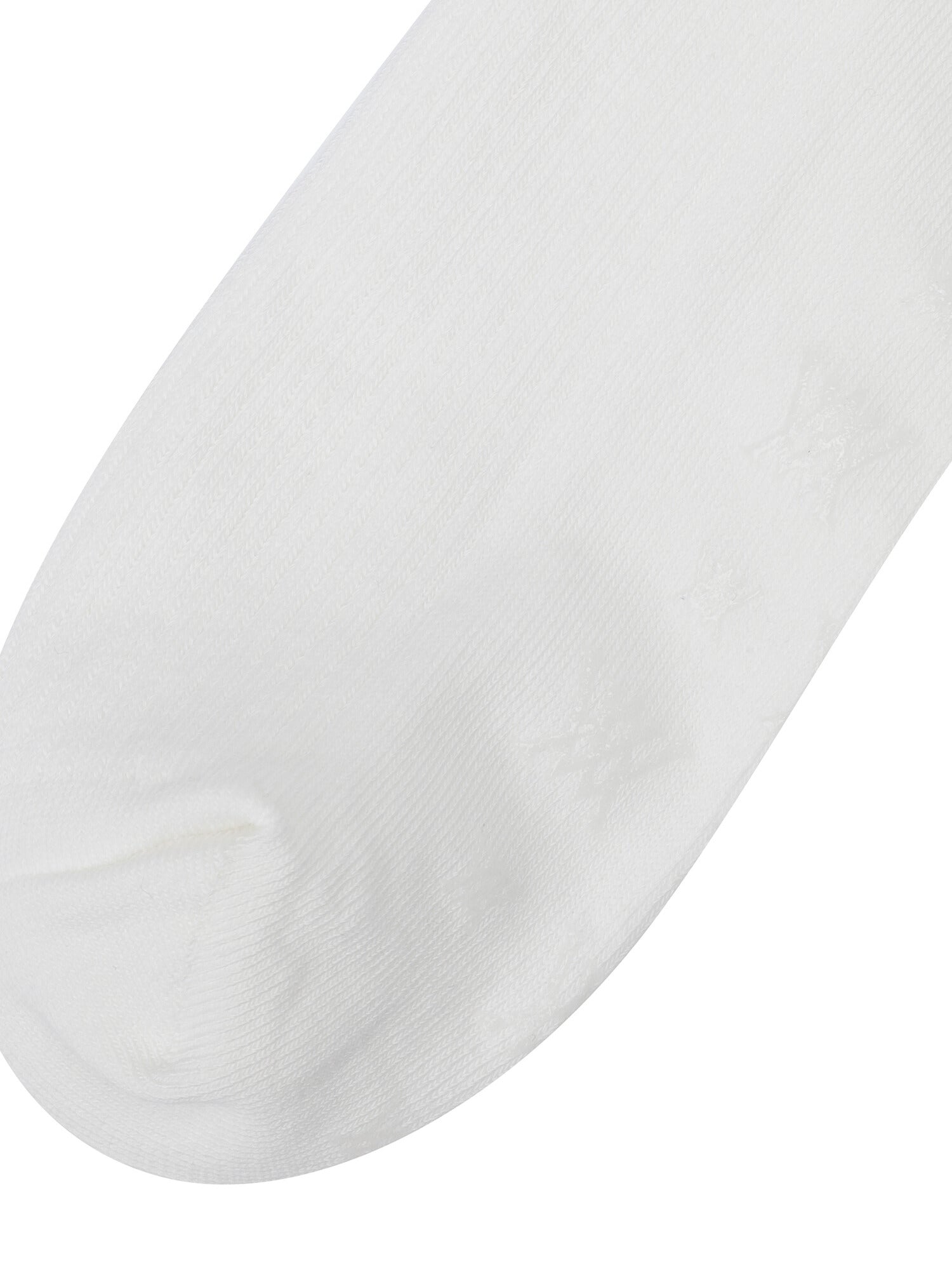 WOMEN LOGO POINT KNEE SOCKS