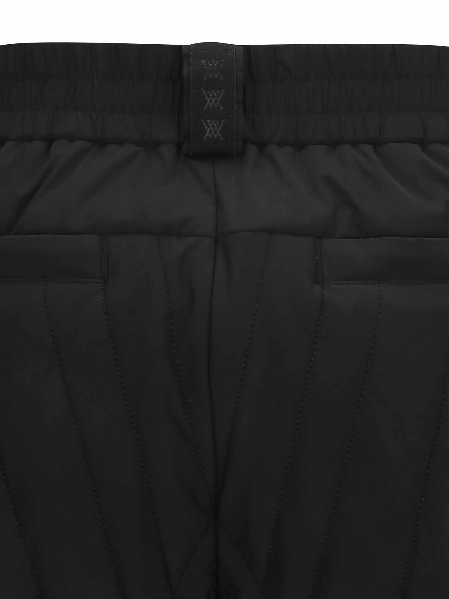 MEN ANEW QUILTING POINT JOGGER L/PT